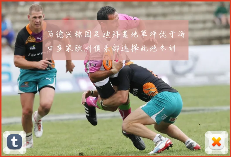 马德兴称国足迪拜基地草坪优于海口多家欧洲俱乐部选择此地冬训
